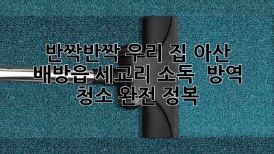 ✨ 반짝반짝 우리 집! 아산 배방읍 세교리 소독 & 방역 청소 완전 정복 🏡