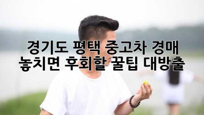 경기도 평택 중고차 경매 🚨 놓치면 후회할 꿀팁 대방출!