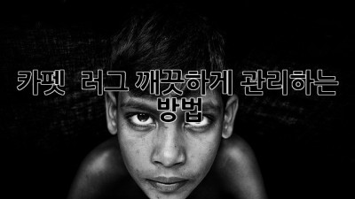 카펫 & 러그, 깨끗하게 관리하는 방법! ✨